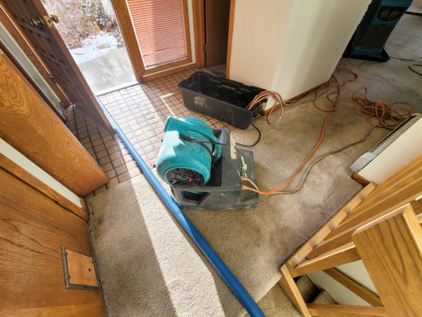 Water damage restoration mold remediation in Hanover, PA