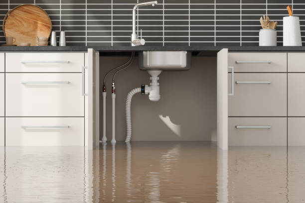Best Water damage restoration company  in Hanover, PA
