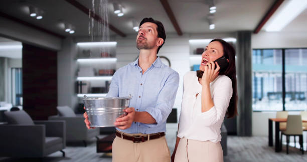 Best Local water damage restoration  in Hanover, PA