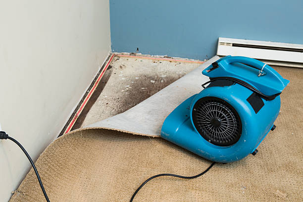 Best Water damage contractors near me  in Hanover, PA